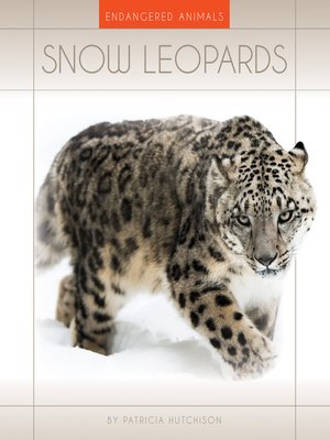 Snow Leopards - ebook